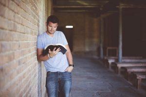 adult book brickwork 1869624