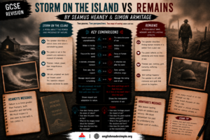 Storm on the Island v Remains